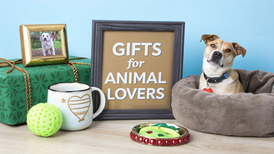 7 Gifts for animal lovers You Should Know
