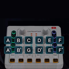 Vibe Geeks Noise Reduction Sound Card Digital Audio Mixer for Live Streaming-typec Rechargeable - Black